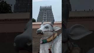 Enjoy Tiruvannamalai temple whatsapp status | Arunachala |