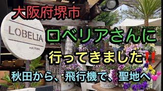 【大阪府堺市ロベリアさん】秋田市から訪問、お買い物してきました