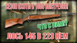 ЛОСЬ 145 в калибре 223rem.  Сезон охоты и 1000 выстрелов-что с ним...