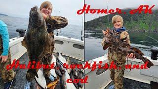 Halibut, cod and Rockfish in Homer Alaska.