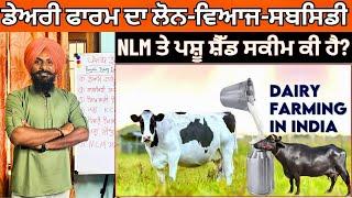 ਡੇਅਰੀ ਫਾਰਮਿੰਗ | Dairy Farm Business | Dairy Farm Loan in Punjab | Pashu Shed Yojana 2024, NLM Scheme