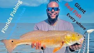 Simple and Easy Way TO Catching  SLOT RED FISH in Charlotte Harbor