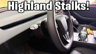 Installing Stalks on a 2025 Model 3 Highland! - From Tes Studio!