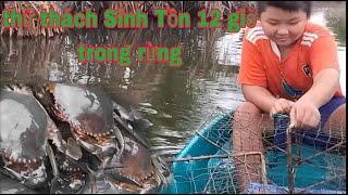 Tony |Thử thách con cua biển Mèo Team TV sinh tồn 12 giờ trong rừng ZR7