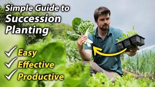 Succession Planting | Amazing Way to Extend Your Cropping and Increases Your Garden's Productivity