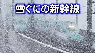 雪ぐにの新幹線 はやぶさ・こまち、はやて号(E5,H5,E6系新幹線電車) ~Shinkansen running in snowy areas~