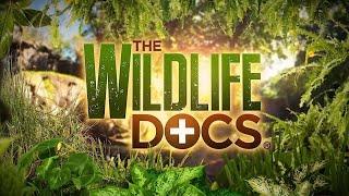 The Wildlife Docs. | Season 1, Episode 6