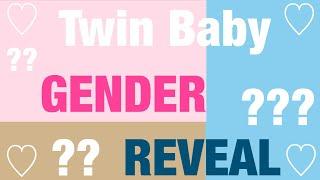 TWIN BABY GENDER REVEAL *Quarantine Edition* 