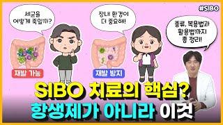 SIBO 완치를 바란다면, 제균(항생제 복용)이 아니라 장 신경계를 신경써야 합니다