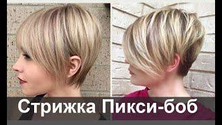 Pixie bob haircut