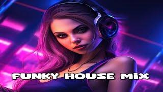 Funky House & Nu Disco Groovy, Funky & Disco Remixes Vol. 13