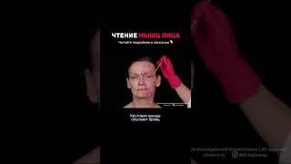 Чтение мышц лица #инъекционнаякосметология #ботулинотерапия #анатомия #анатомиямышц #анатомиялица