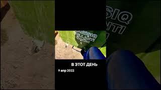 Воплотилось