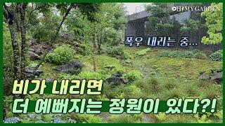 [정원의 발견] 빗물 정원 Rainwater Garden  | KBS제주 20200710 방송