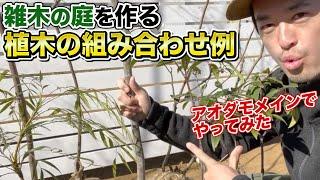 【雑木の庭】【坪庭】【狭い庭】癒しの空間になる植木の植え付け例やりました。