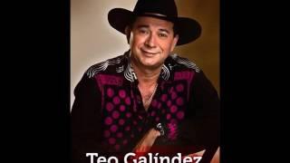 Te equivocaste  - Teo Galíndez