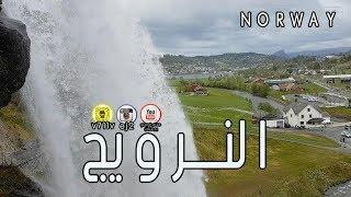 جمال الطبيعة في النرويج || جنة الله في الارض || تقرير سياحي  Nuture in Norway