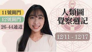 人類圖覺察週記｜12/11-12/17｜Yoko Tarot