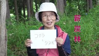 コナラとクヌギ｜身近な里山で森づくり！誰でもわかる、森のヒミツ」no.2