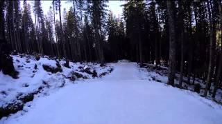 Pokljuka 2.5K Course with Anja Erzen