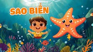 Cùng bé khám phá động vật biển (Sao Biển) Starfish