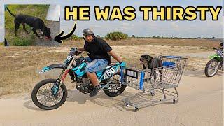 DIRT BIKERS RESCUE DOG | Mr2Moto