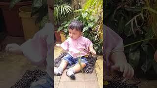 cute bebo official #youtubeshorts #shortvideo #tranding