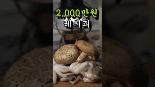 쭈꾸미볶음 특급 레시피 무료나눔합니다. #캠핑요리 #cooking #캠핑요리추천