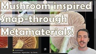 Mighty Mushrooms: Inspiring Advanced Metamaterials for Energy Dissipation