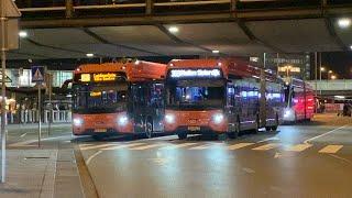 Buses in Amsterdam & Schiphol Airport