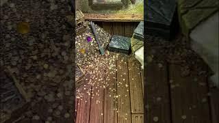 Raining gold in the D&D Treasure Room #dnd #terrain #dungeonsanddragons