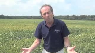 Wheat School - Three Key Steps to Planting Winter Wheat Right