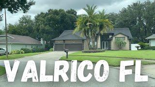 VALRICO FL 2021