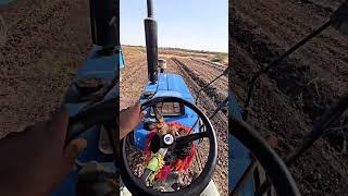 Blue horse |  #farmerking #khedut #farming #farmer #tractor #viral #khedutvideo #attitude #2025