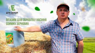 Вдалий Старт – Швидкий Результат: Вітазим Для Обробітку Насіння Озимих Зернових