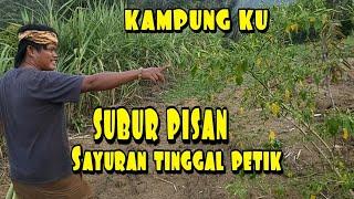 suasana kampungku bikin betah |tiis celi herang panon