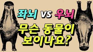 나는 어떤 뇌 유형을 가지고 있나? 좌뇌? 우뇌? (뇌성향 심리테스트)