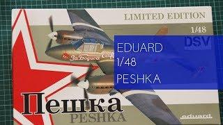 Eduard 1/48 Peshka (11112) Review