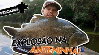 TANCÃO MAEDA, AÇÃO NA SUPERFÍCIE O DIA INTEIRO! - Aperta O Play!