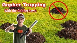 Gopher Trapping With The Gopherhawk! (Includes Catch)