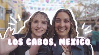 the BEST things to do in LOS CABOS! | Swimming with whale sharks, humpback whale watching, + more!