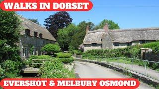 WALKS IN DORSET at EVERSHOT & MELBURY OSMOND (TWO OF THE  PRETTIEST VILLAGES IN DORSET) (4K)