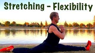 Best STRETCHES for Martial Arts Flexibility 1-10