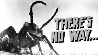 There's NO WAY This Is True... The TRUE Scale of ANTS Corridor Crew React!