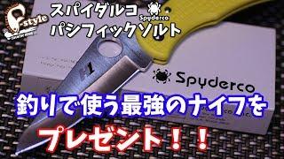 スパイダルコ　パシフィックソルトをレビュー＆プレゼント！