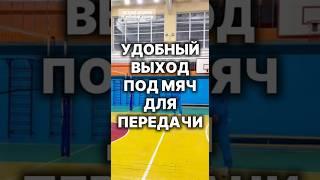 Удобный выход под мяч для передачи. #волейбол #волейболшортс #волейболтехника #евгенийандреев