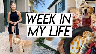 WEEK IN MY LIFE | finance chat, beach prep, dealing with hair loss, book favorites, happy moments!