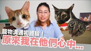 寵物溝通初體驗！貓咪心海底針啊...【好味貓日常】EP12