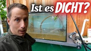 Outdoor aquarium with broken glass – simply glued to the kitchen counter!