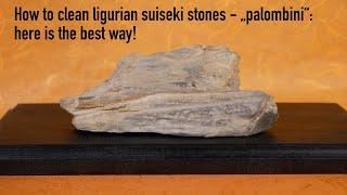 How to clean ligurian stones -the best way...